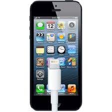 iPhone 5s Charging Port